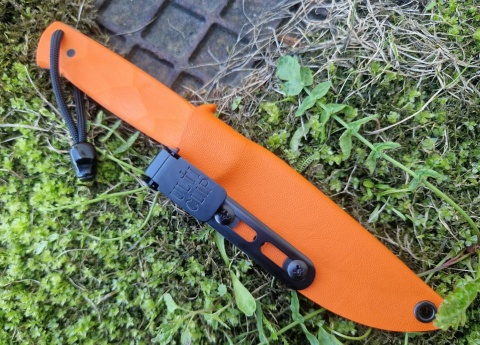 CWANIAK (orange)